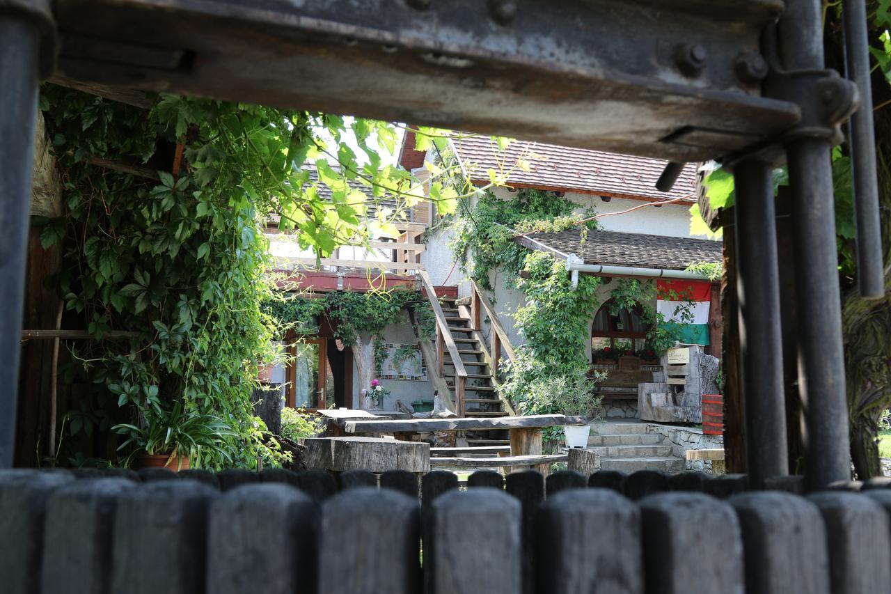 Bed & Breakfast Pataky Borporta Tarcal